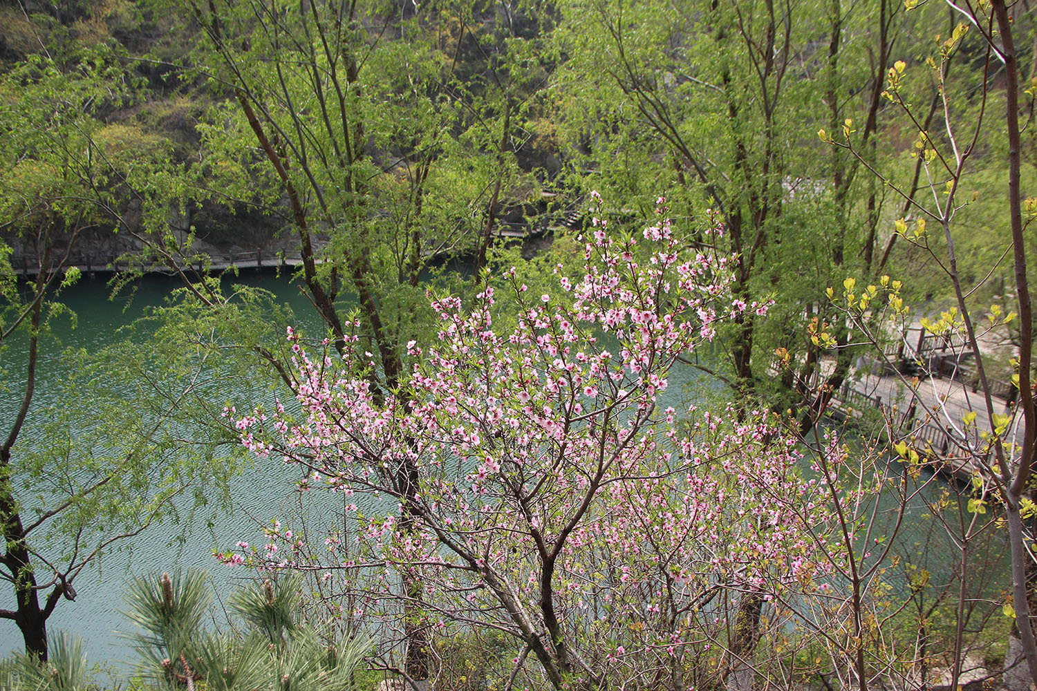 2021，濟(jì)南辰達(dá)試驗(yàn)機(jī)制造有限公司九如山一日游！